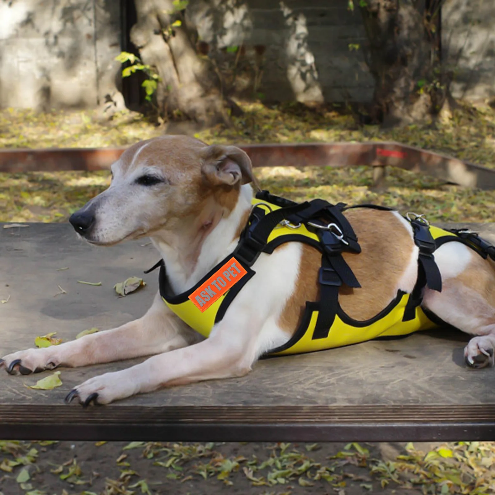 

4 Pcs Pet Strap Professional Vest Patches Decor The Dog Decorative Harness Nylon Embroidered Work