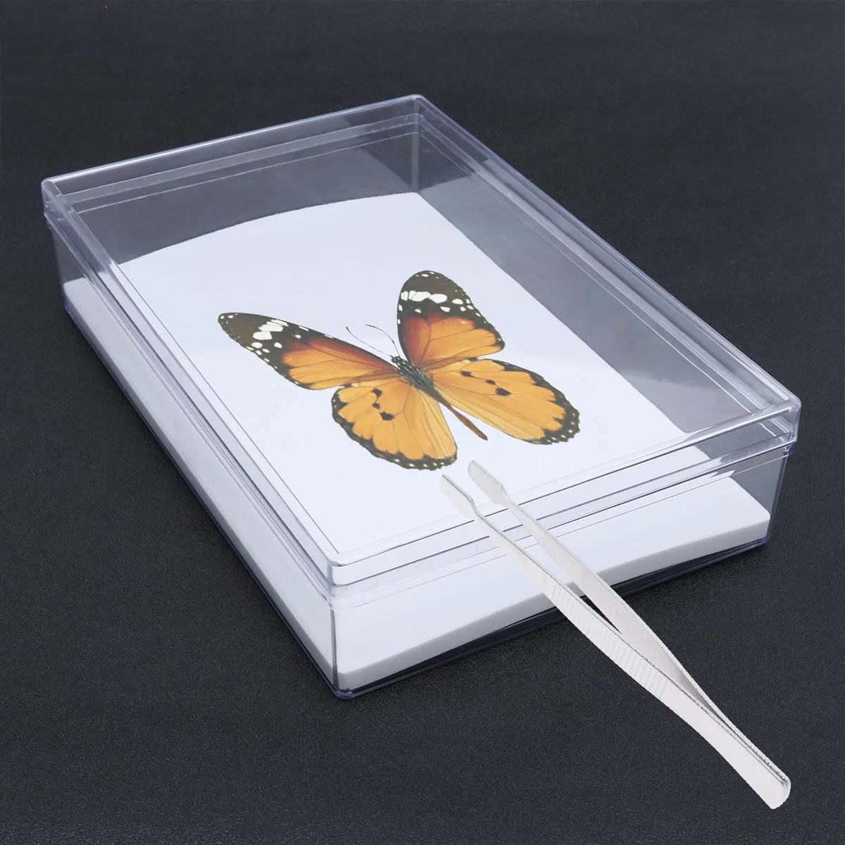 

1pc Stainless Steel Wide Tip Tweezers Specimen Making Tool For Entomology Specimen Wing Spreading Hand Tool