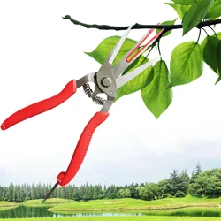 Double-edged Apple Picking Scissors Kiwi Pear Thinning Scissors Double Mouth Design Thin Fruit Picking Scissors Garden Hand Tool
