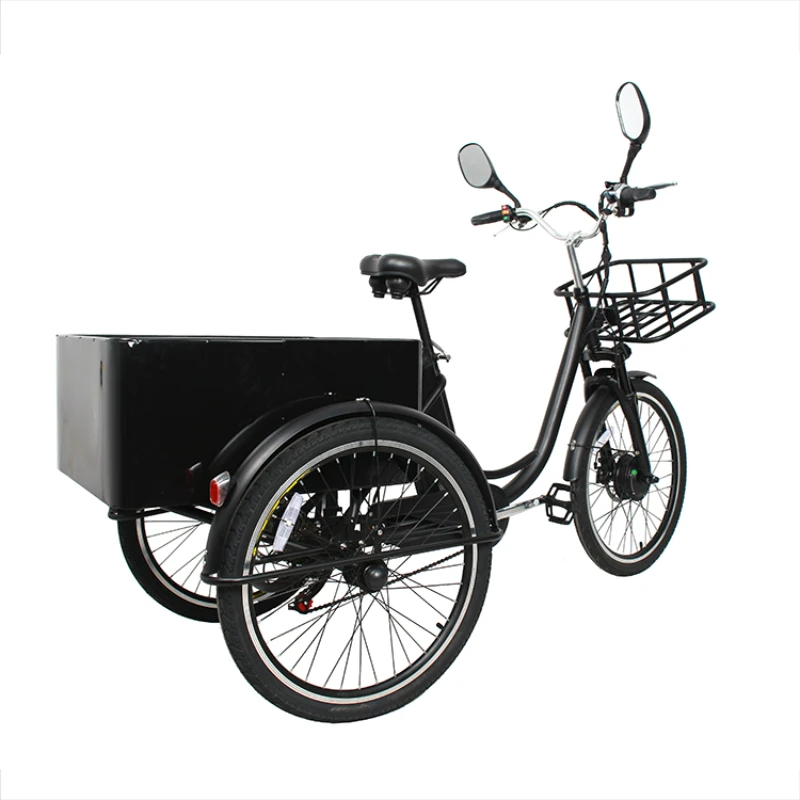 Electric Bicycle Three Wheel E trikes 24