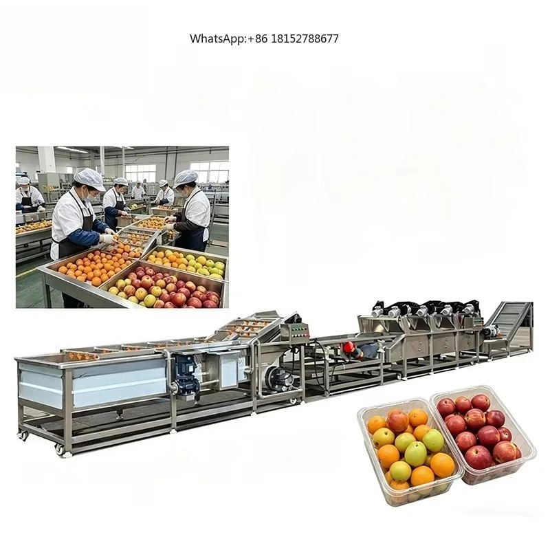 Fully Automatic Fruit and Vegetable Processing Production Line Integrated Equipment for Cleaning Impurity Removal and air Drying
