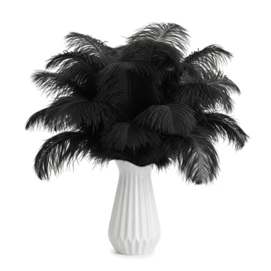 

Lamar 20Pcs Black Ostrich Feathers 8-10'' Bulk Feathers for Decoration, Wedding Centerpieces, Mother's Day, Crafts, Carnival, P