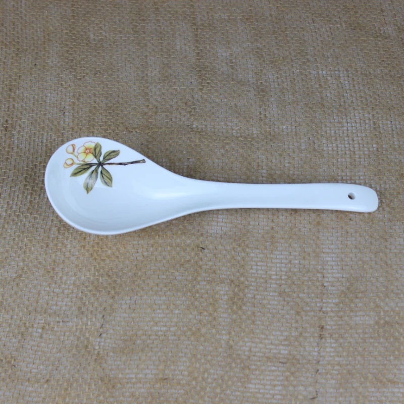 Couverts en porcelaine Sophia, bol en porcelaine, assiettes occidentales, petit déjeuner, assiette à dessert, disque ménager, accessoires de cuisine