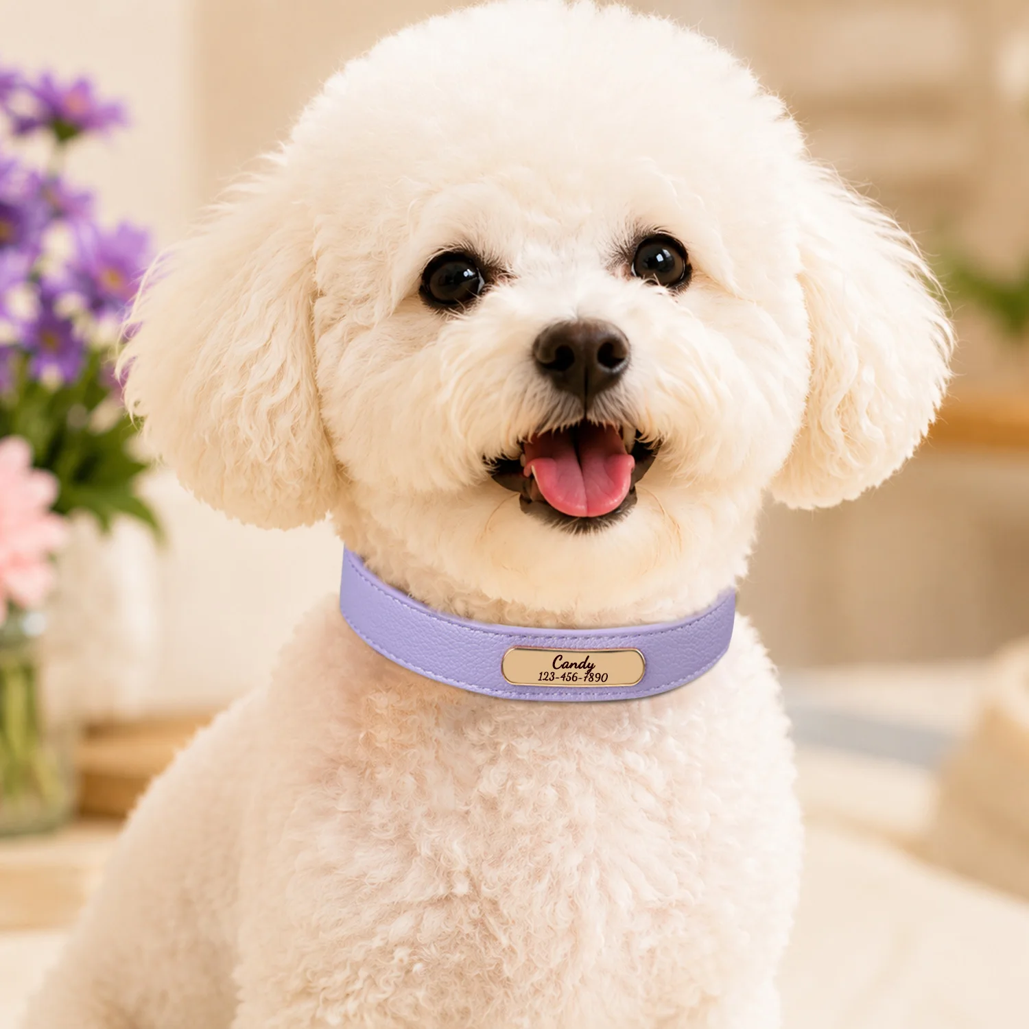 Luxury & Soft Leather Personalized Dog Collar and Pendant Pet Puppy Cat ID Nameplate Engraved for Small Medium Dogs
