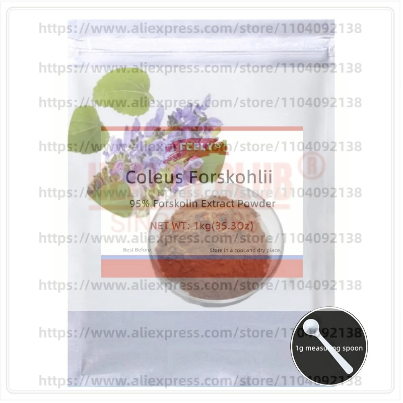 Forskolin de 50g-1000g, Coleus Forskohlii, Fábrica Especializada en Empaques Personalizados, Envío Global Rápido