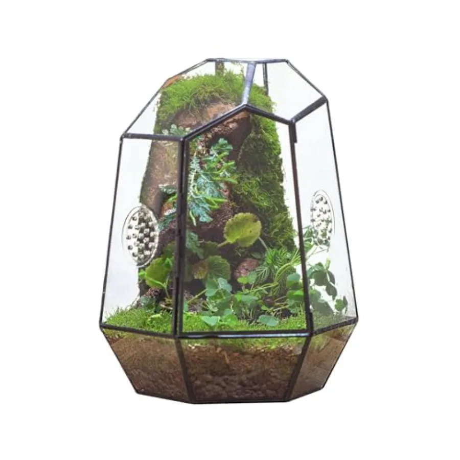 

Closed Geometric Glass Enclosure with Front Opening Door and 2 Vent Holes for Insects Succulent Cacti - 7.9"x6.9"x9.8" Black Ir