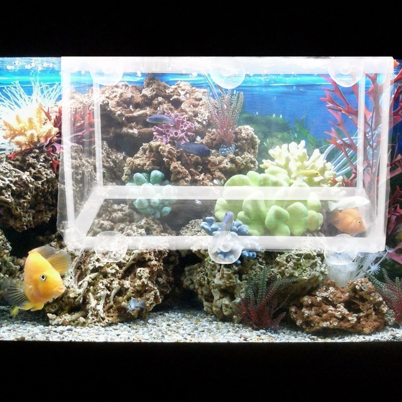 

2pcs Breeding Net Floating Aquarium Divider Isolation Box Hatchery Breeder Mesh Raising Survival Rate Durable Easy Clean Compact