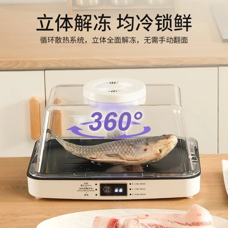 Commercial Rapid Thawing Board Quick Defrosting Tray for Meat Fish & Food Large Capacity