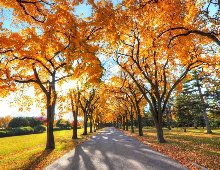 جرس باب مرئي لأمن المنزل الذكي بشاشة 4.3 بوصة مقاوم للماء عالي الوضوح بالأشعة تحت الحمراء للرؤية الليلية جرس باب فيديو لاسلكي #1