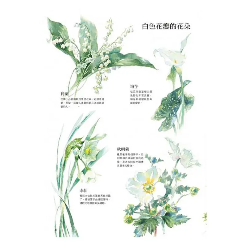 Basic Watercolor Skills For Beginners Easy Selfstudy Of Transparent Watercolor Flower And Plant Painting 9789867627209