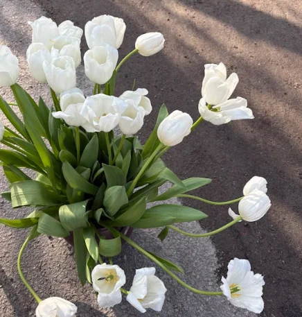 

New 808 Diode Laser triple waves 755 808 1064nm laser hair removal machine 808 diode laser machine