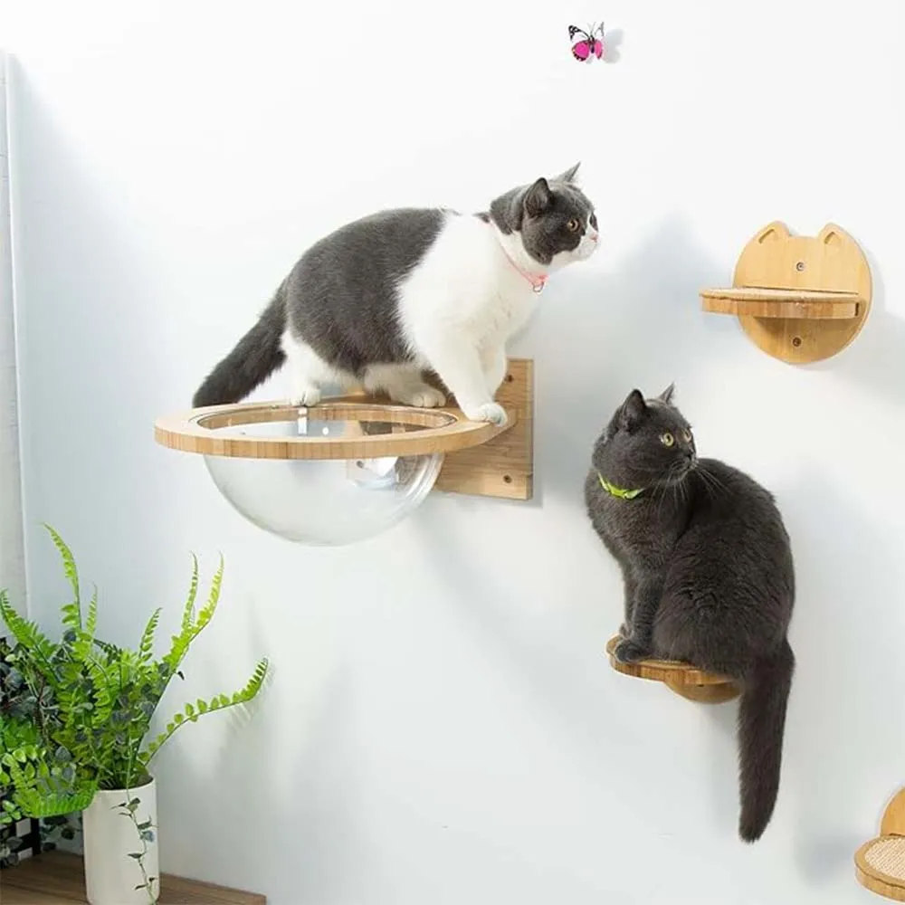 Cat Wall Furniture Floating Wall Shelf With Cat Scratching Post Climbing Perches Hammock Wall Steps For Sleeping Playing Res