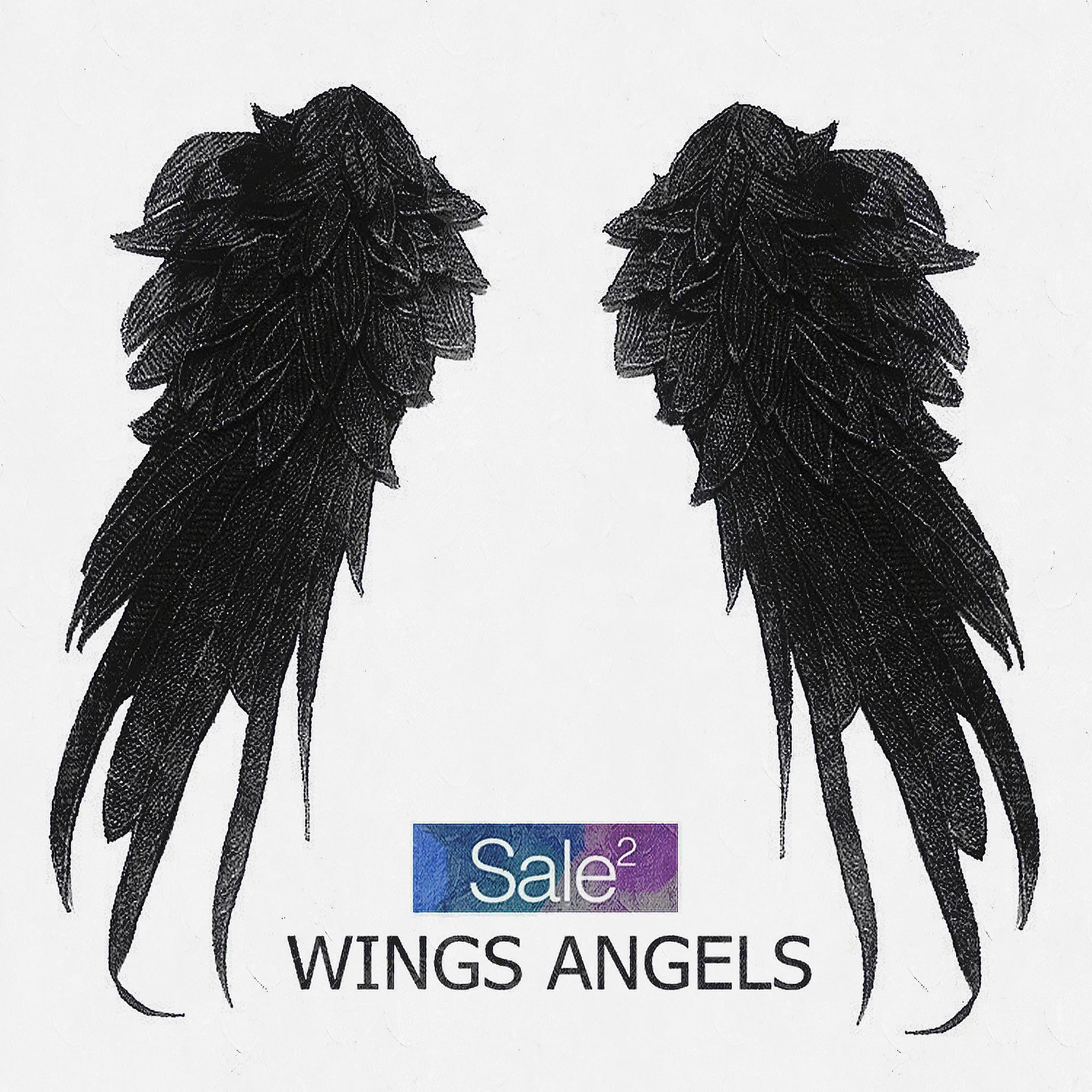 1 Pair Angel Devil Wing White Black Embroidery Patches for Clothing Dress Sewing on Clothes Feather Appliques Badge Stickers