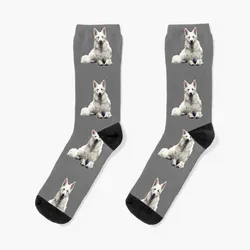 Calcetines de perro pastor suizo blanco para hombre, medias deportivas