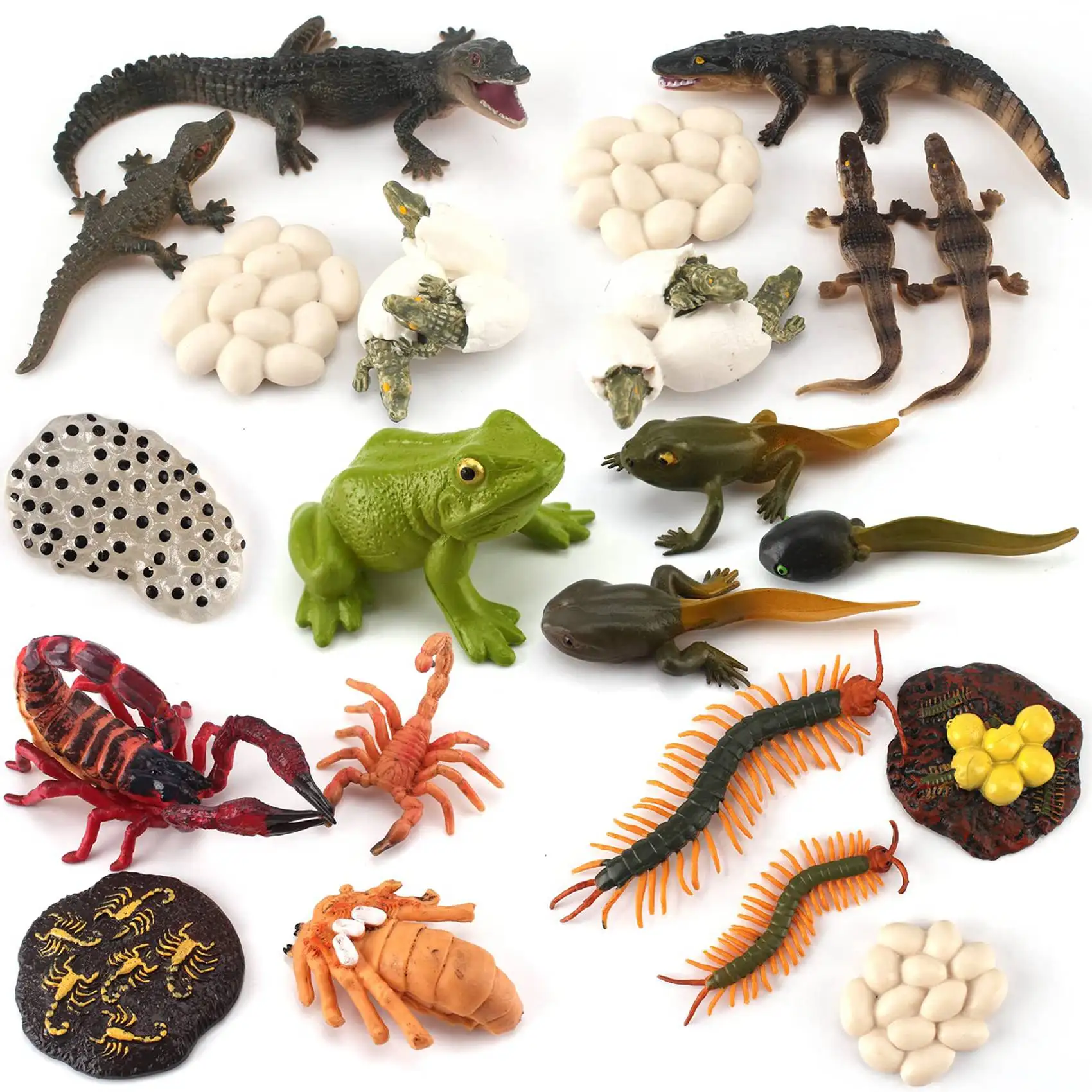 21 PCS Simulation Animals Growth Cycle Scorpion Centipede Frog Crocodile Life Cycle Models Figures Educational Kids Toys