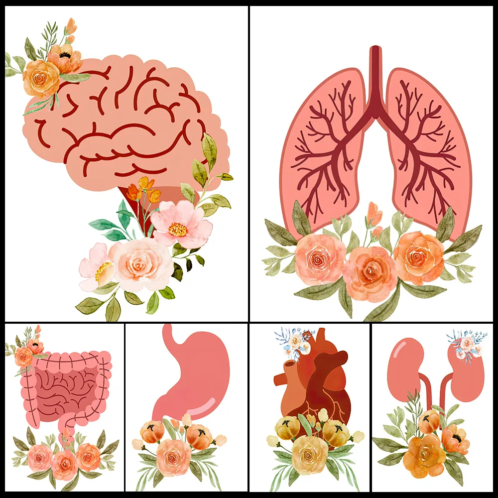 

Organs with Flowers Liver Heart Brain Anatomy Poster Wall Art Canvas Painting Home Decor Wall Pictures For Living Room Unframed