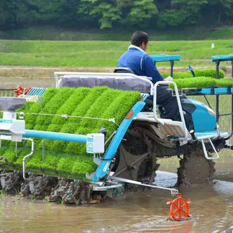 Automatic seedling planting machine Ride-in rice planting machine Paddy field seedling planting machine