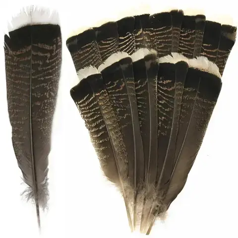 Wholesale Natural Eagle Birds Feather Decor Turkey Feathers for Crafts Hats Plumas Carnival Accessories Wedding Vase Decoration