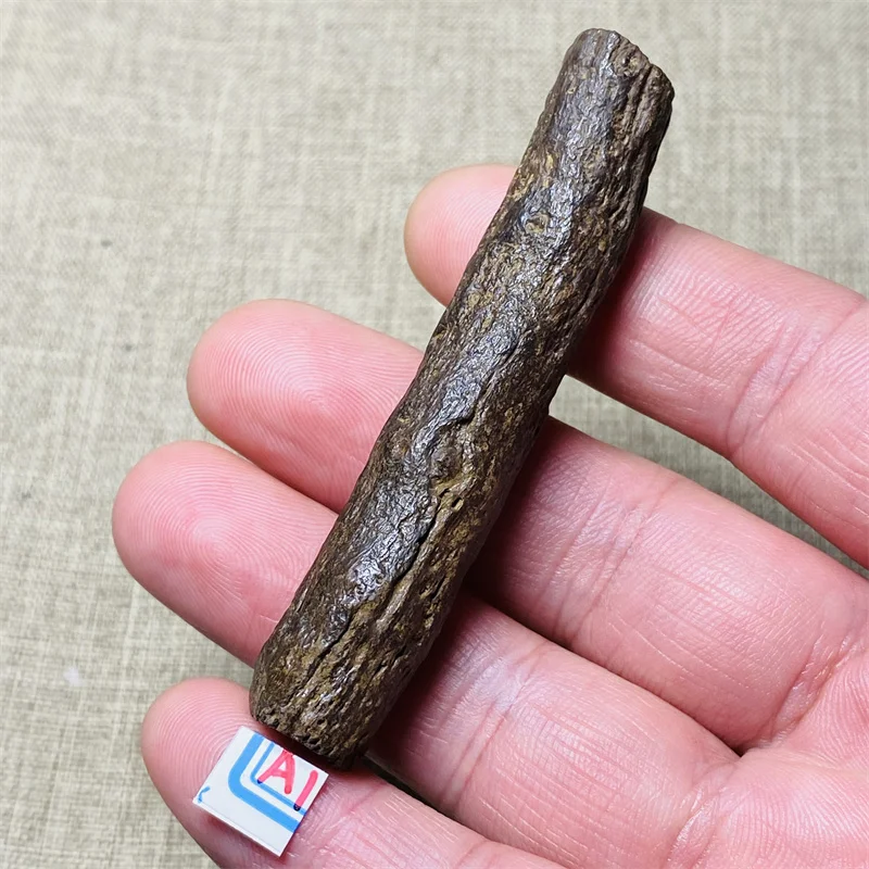 

Natural Gobi Desert wood mineral specimens for home decoration