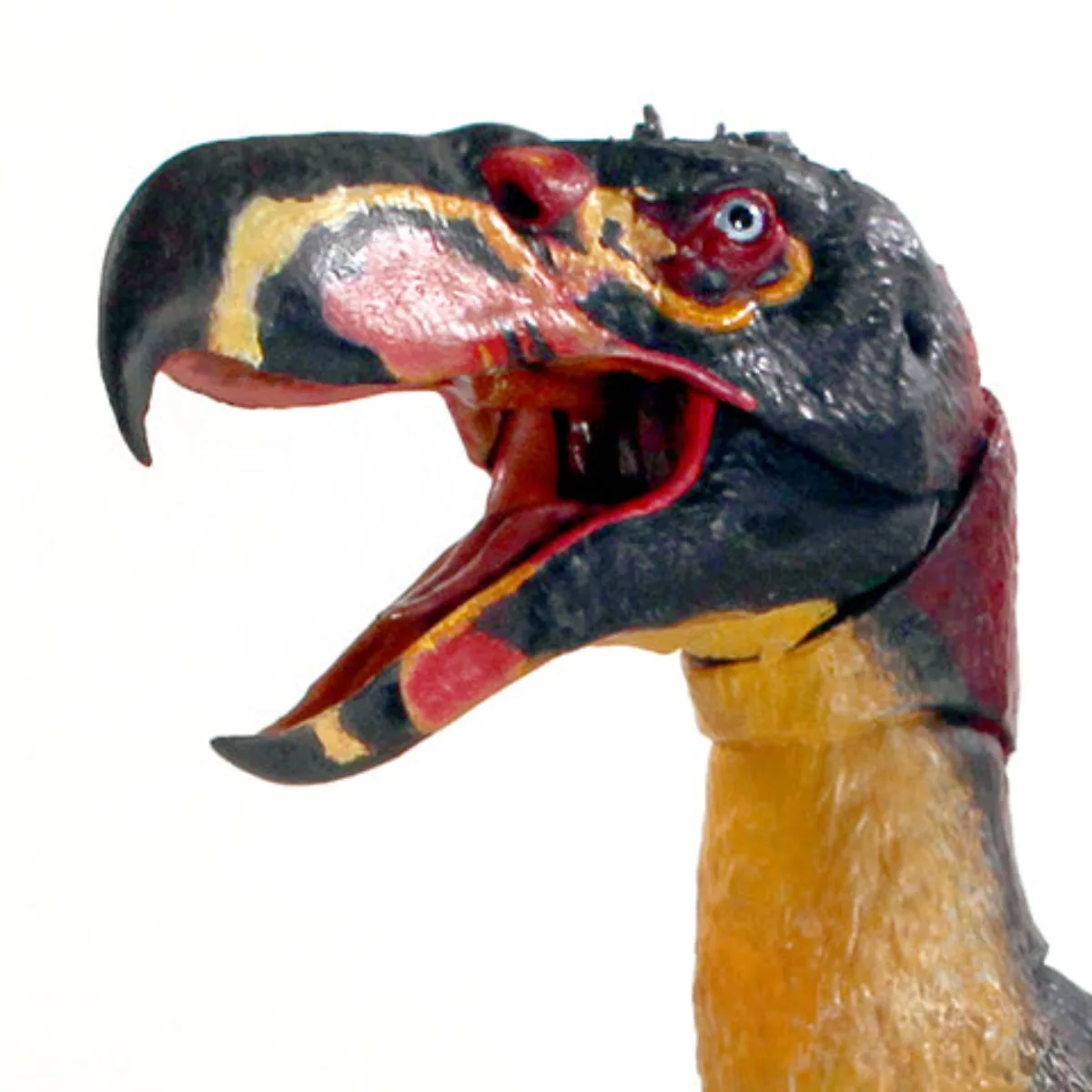 Beasts of the Mesozoic Studio 1/12th Scale Kelenken Guillermoi Model Realistic Animal Action Figure Collection Scene Decor Gift