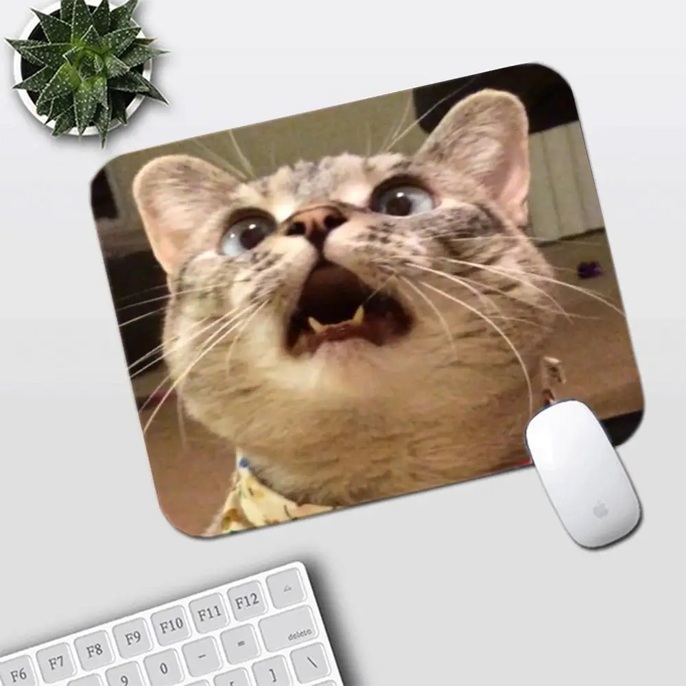 Table Mat Funny Expression Tabby Cat Surprise Open Mouth Design For Laptop Bedroom Learning Large Size Pad