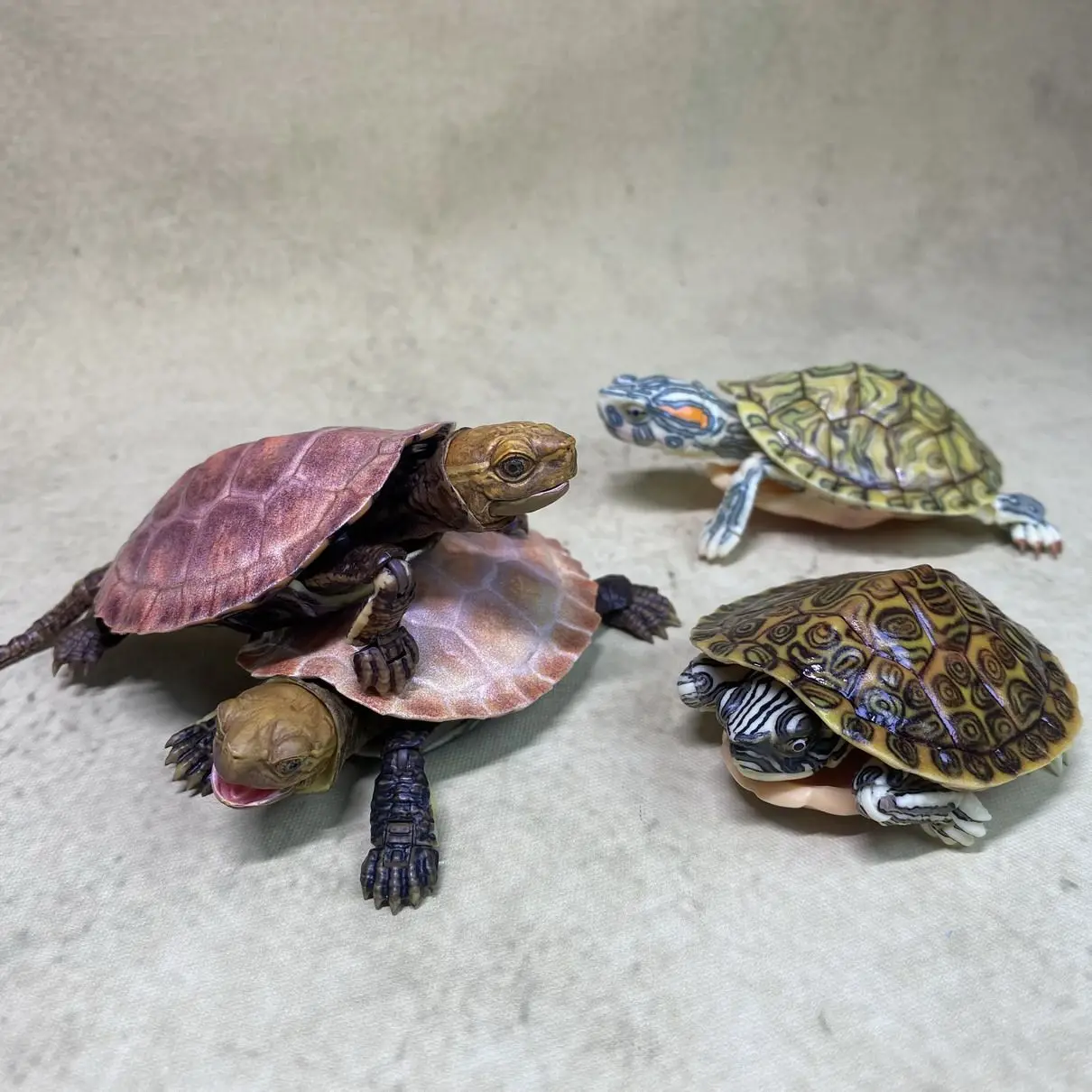 Bandai Turtle Action Figure Gashapon Movable Realistic Animal Model Collection Desktop Decoration For Hobbyist