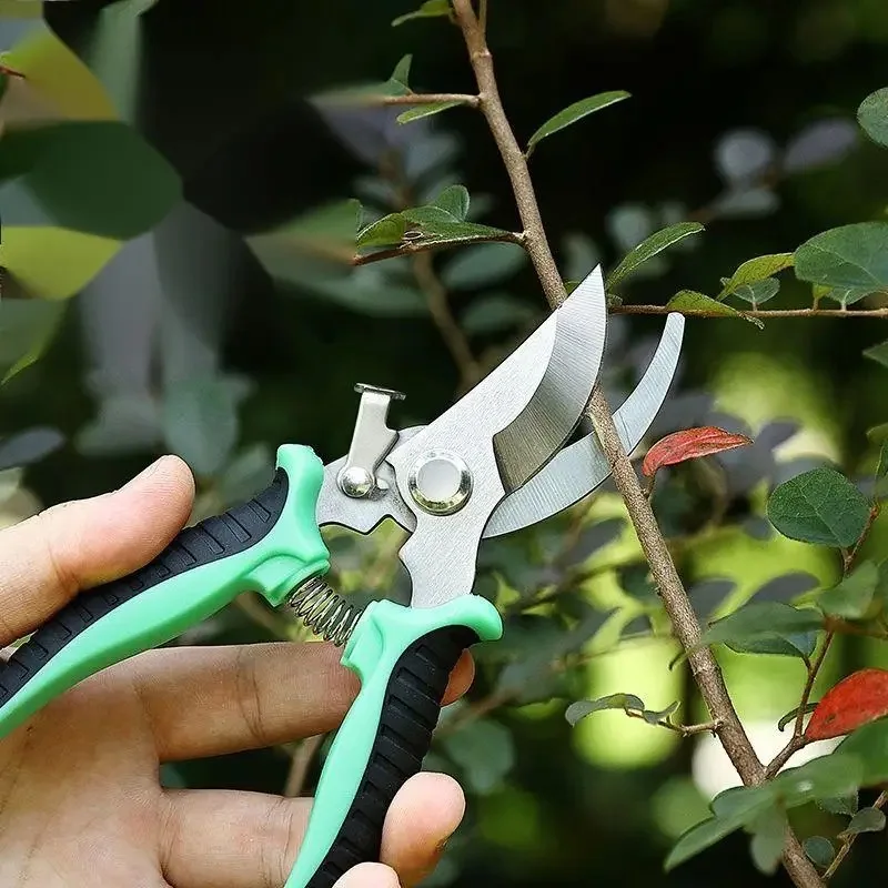 Horticultural Scissors Bird Beak Shape Branch Pruning Labor Saving Pruning Stainless Steel Picking Multifunctional Fruit Scissor