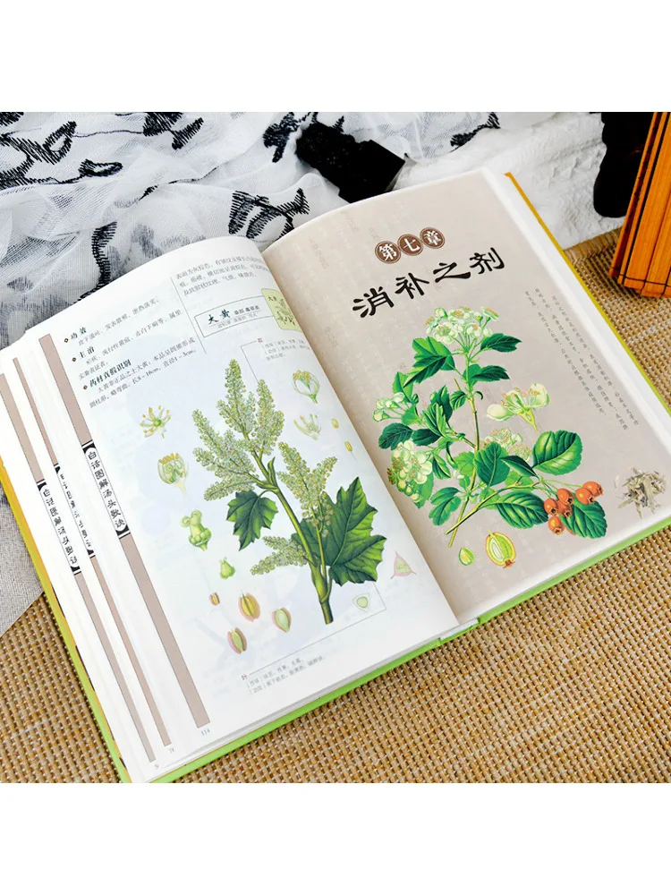 Book-Winshare Illustrated Dictionary Of Soup Formulas in Simple Language