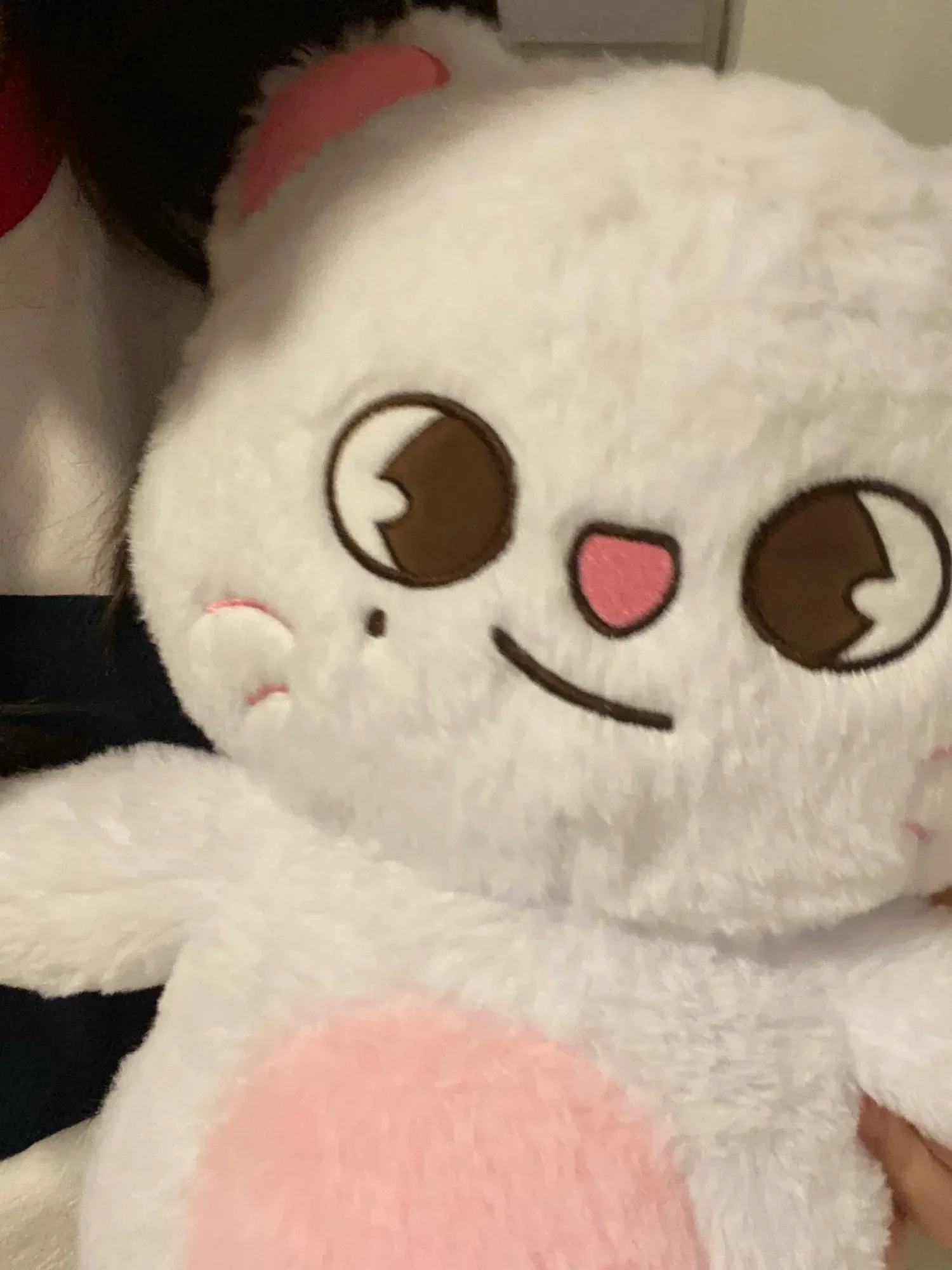 Duża pluszowa zabawka Kpop Skzoo Stray Kids, kawaii, kreskówkowa, wypchana lalka, duża poduszka do spania dla dzieci i niemowląt, prezent.