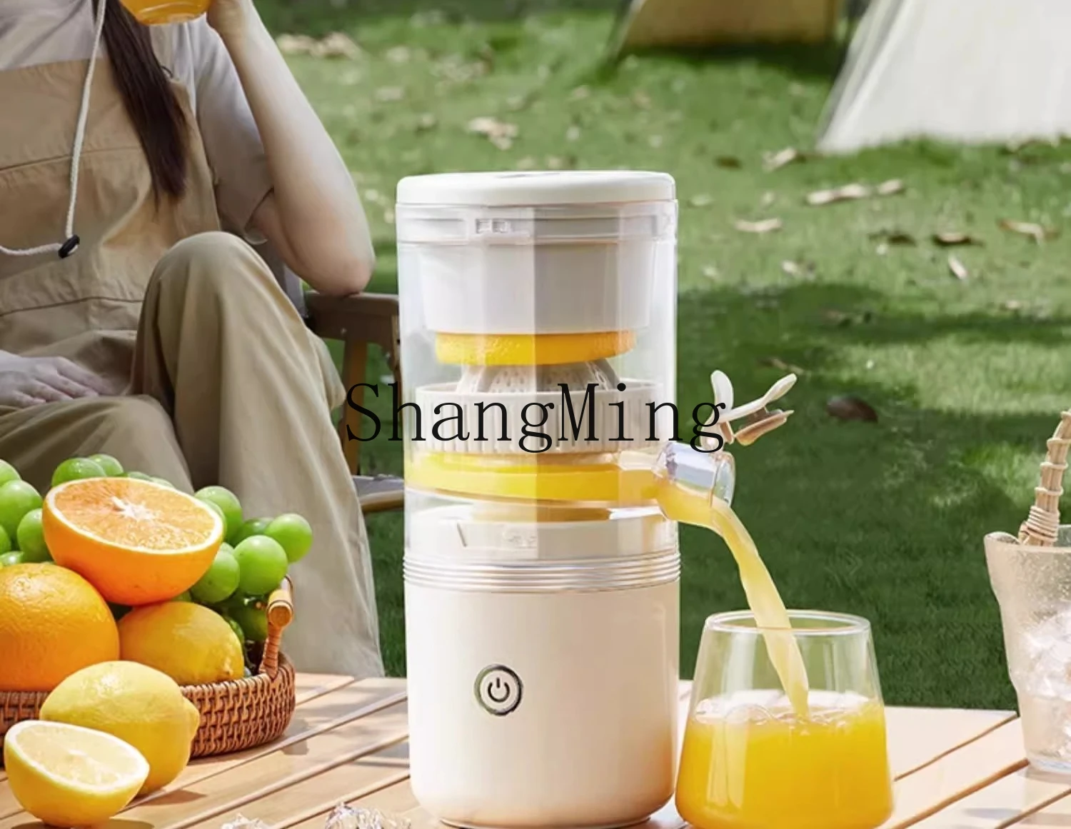 ZYY Macchina da cucina elettrica portatile automatica con separatore di succo di scorie multifunzionale per uso domestico