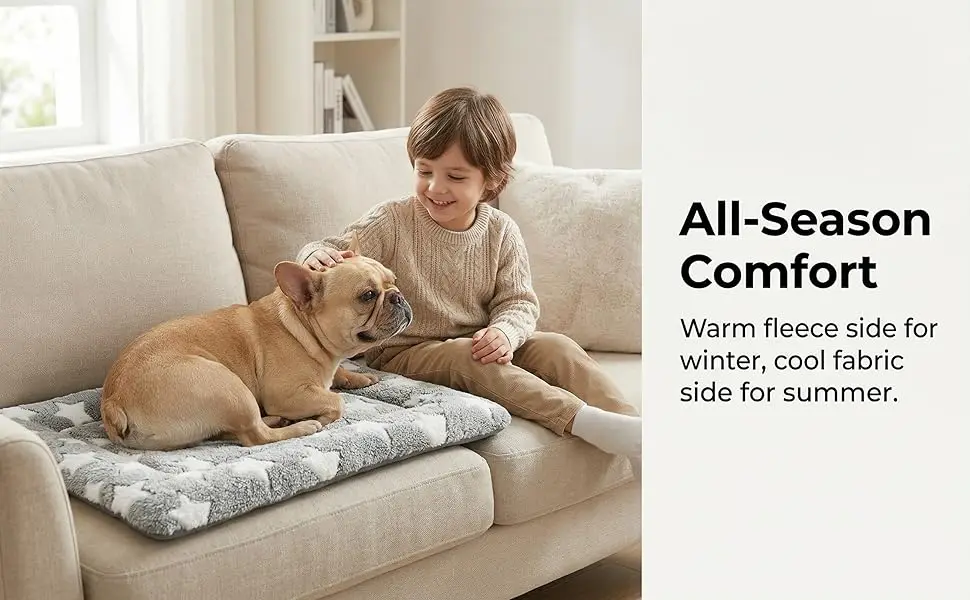 All-Season Comfort