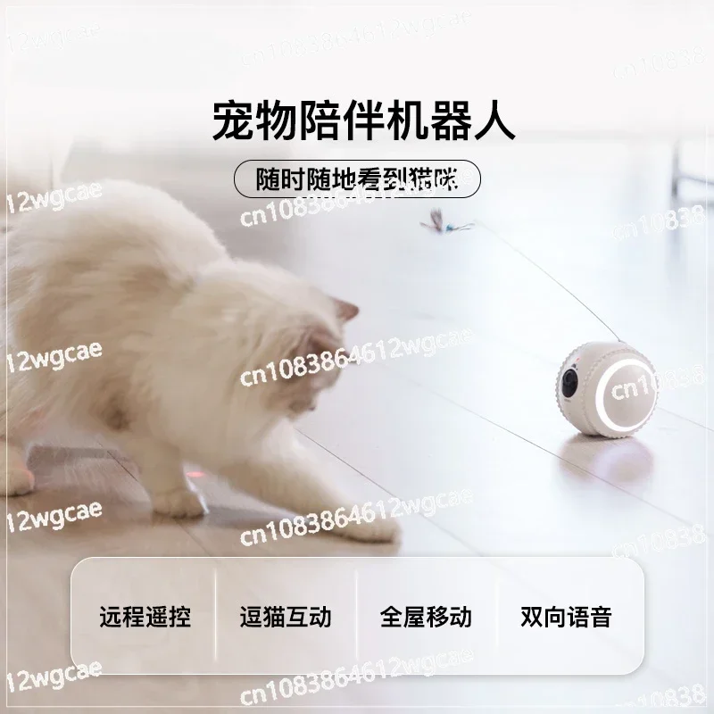 Cat companion robot teasing cat artifact camera camera camera monitoring cat teasing stick two-way voice self-hilarity