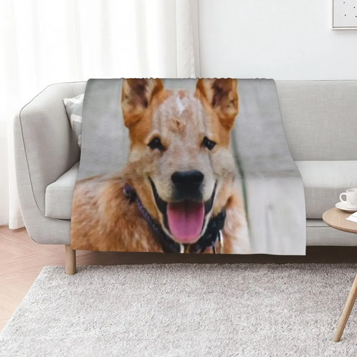 

Cattle Dog - Red Heeler Throw Blanket Comforter Sofa Throw Thermal Cute Blankets