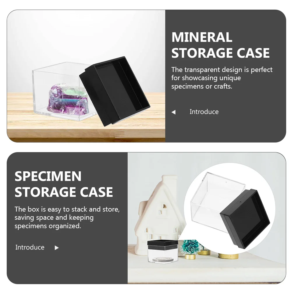 

12Pcs Transparent Specimen Display Boxes Durable Plastic Storage Case for Mineral Samples Craft Beads Small Objects Organizer