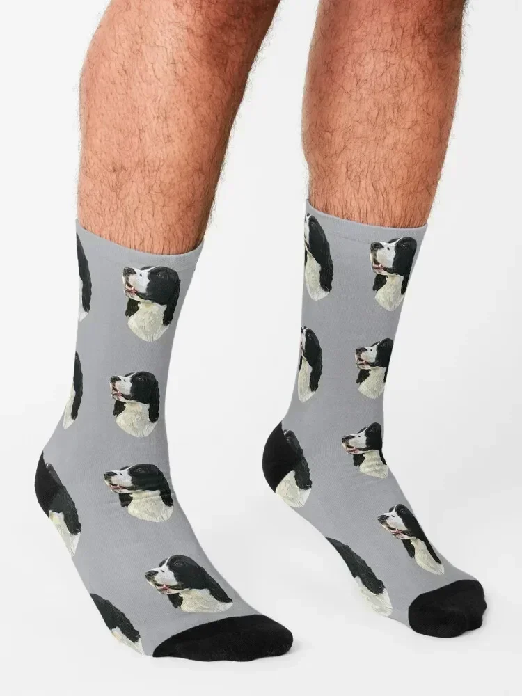 Springer Spaniel Black and White Socks halloween custom sports man japanese fashion Boy Socks Women's