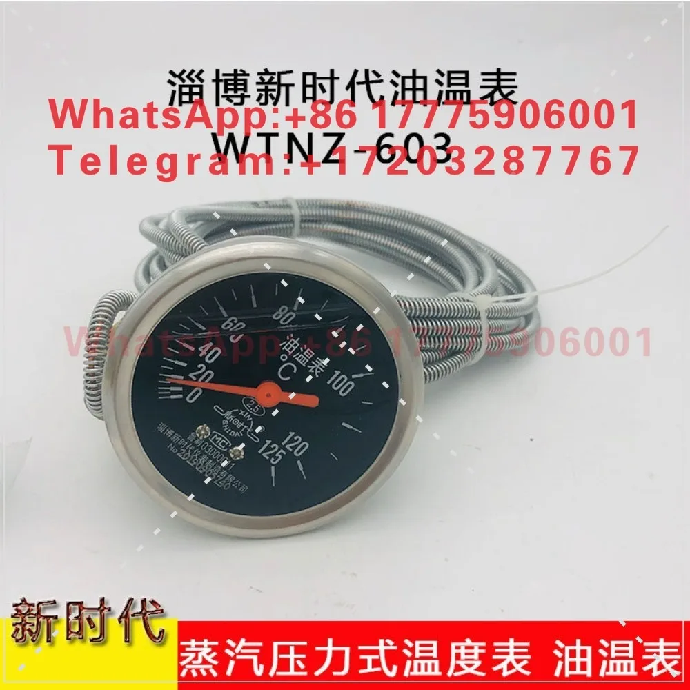 

Zibo New Era Steam Pressure Thermometer Oil Temperature Meter WTNZ-603 Thermometer