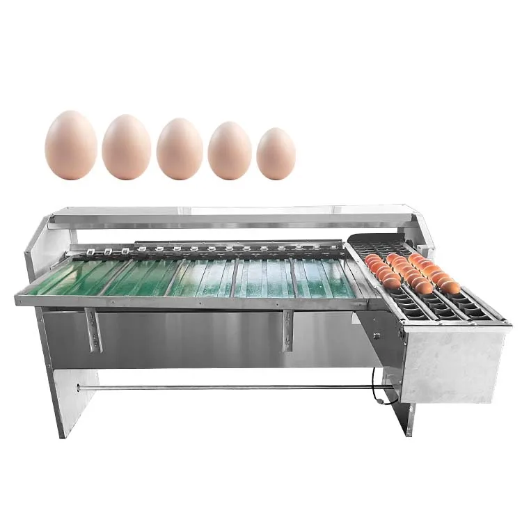 

Small yet Powerful Egg Grading and Sorting Machine for Various Egg Production Lines