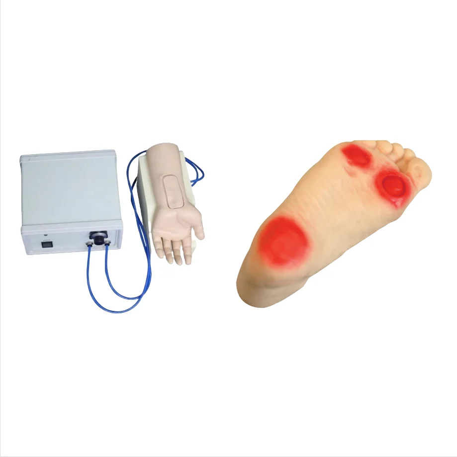 Medical Science Advanced Arterial Blood Gas Analysis Training Model Diabetic Foot Ulcer Model for Student Learning