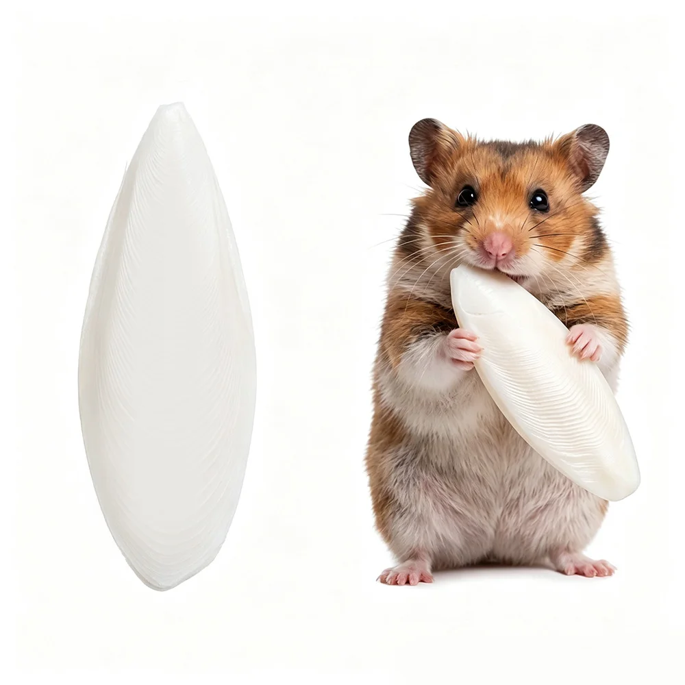 Hamster Guinea Pig Parrot Natural Cuttlebone Chew Toy, Teeth Grinding & Calcium Supplement, Desalted Polished 2-7cm