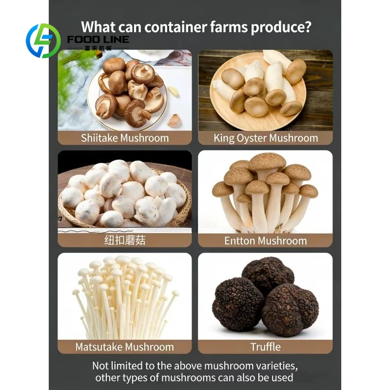Customized Smart Hydroponic Mushroom Container System 40FT with Automatic Irrigation for Indoor Home Cultivation