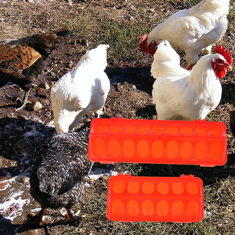 1Pc Double Row 12/18 Holes Poultry Ground Feeder Plastic Clamshell Feeding Chicken Groove Farm Breeding Supplies