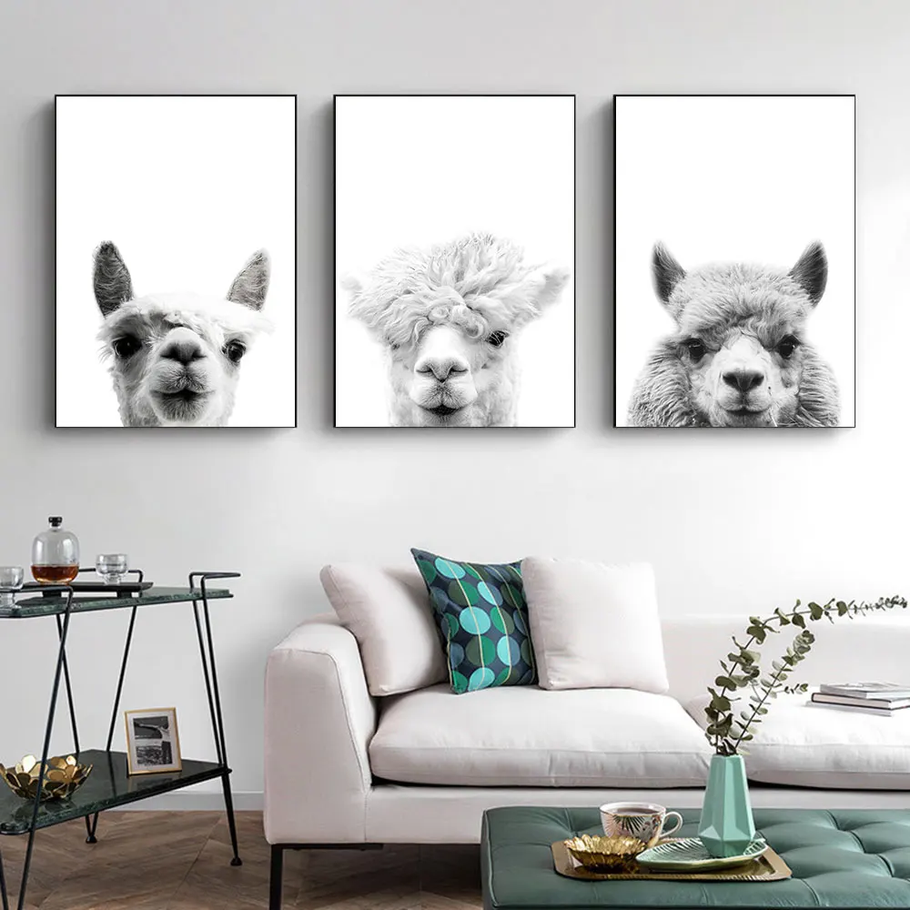 

Set Of 3 Alpacas Art Print and Poster Black and White Photo Canvas Painting Picture For Minimalist Living Room Decoration