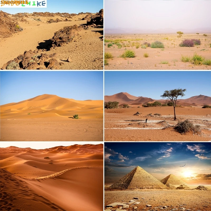 

Vast Sand Dunes Blazing Sun Desert Photography Backdrops Sunset Sky Rocks Safari Landscape Dried Tree Birthday Background DS-03