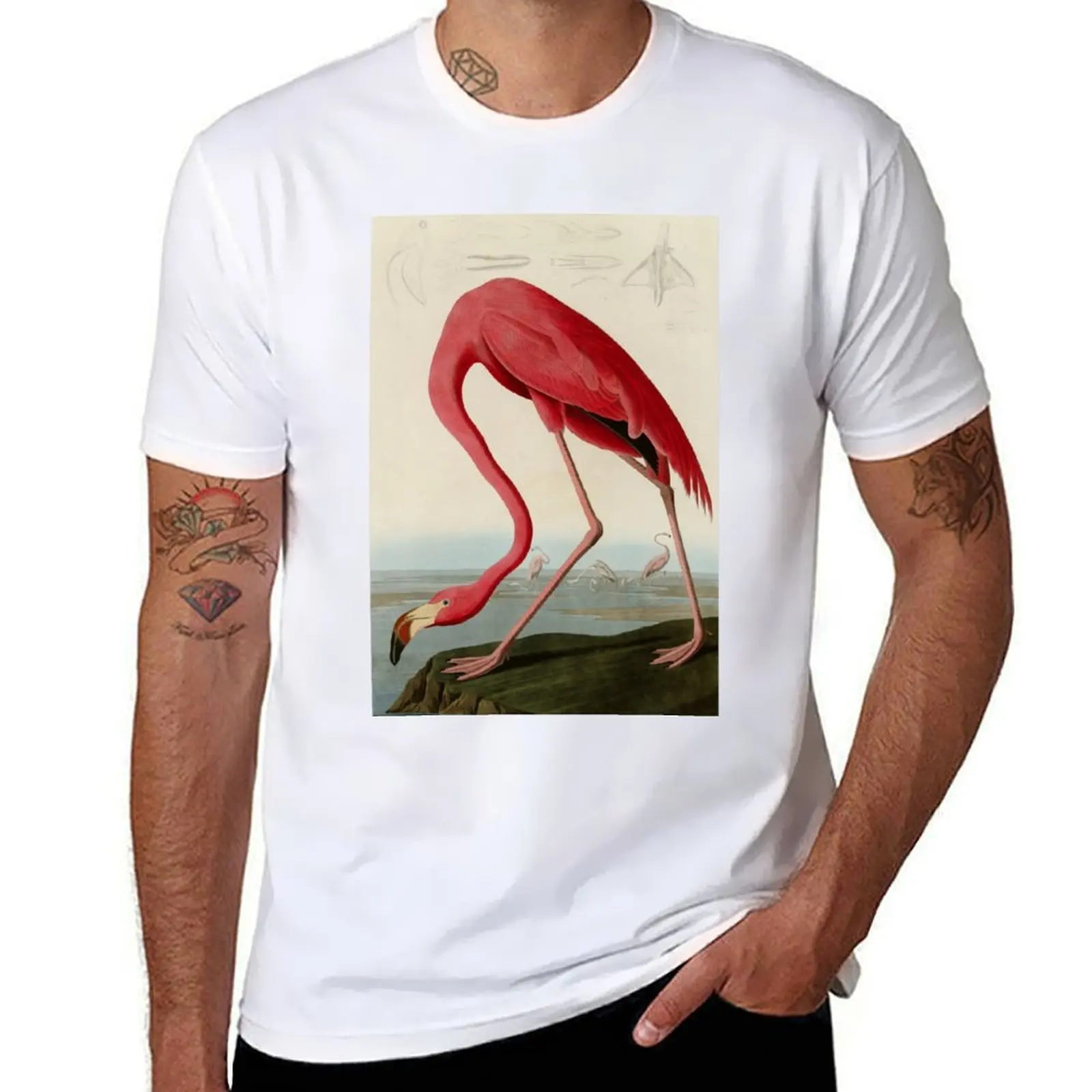 

American Flamingo by John James Audubon, Vintage Illustration T-Shirt cotton t shirts high quality man tshirt T-Shirt