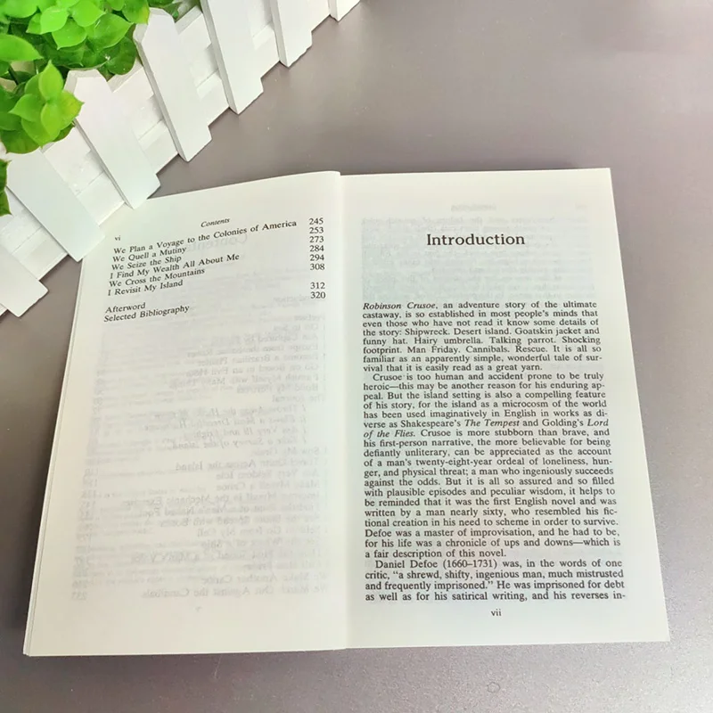 Wersja angielska powieści Robinson Crusoe Daniela Defoa, książki angielskie, klasyczna książka z bajką, libros, livros