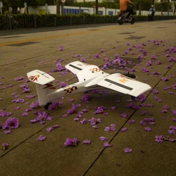 2024 New ESKY Seagull Remote Control Fixed Wing Beginner's Entry Model Airplane Indoor / Outdoor Adult Children RC Birthday Gift