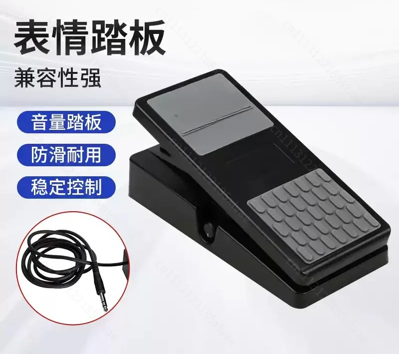 Universal Expression Pedal for Electronic Piano Synthesizer Volume Control Performance