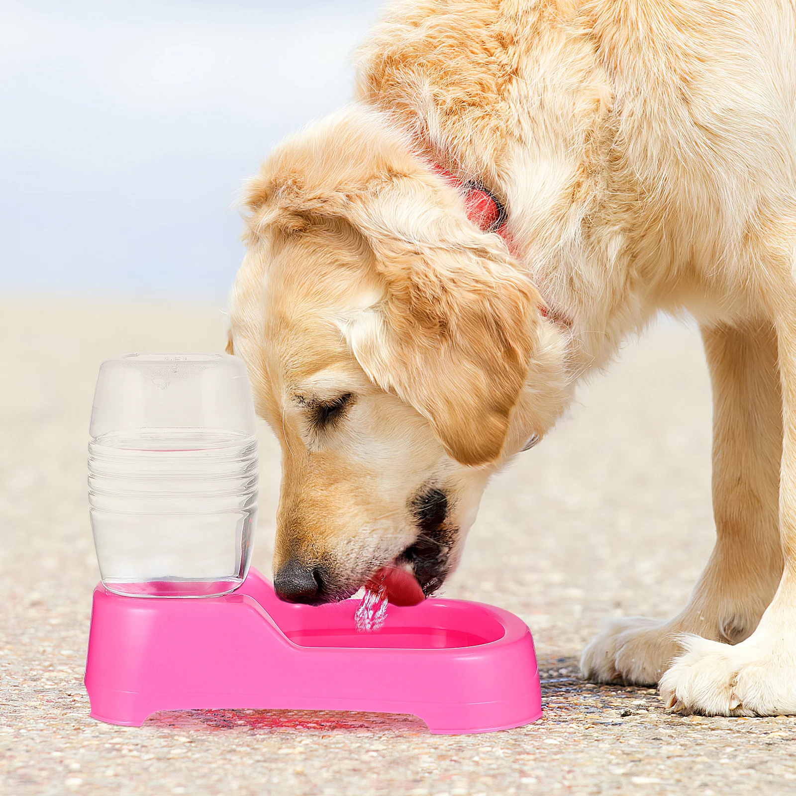 

500ml Pet Water Feeder Pink Automatic Feeding Puppies Durable Practical Safe for Home and Pet Shops