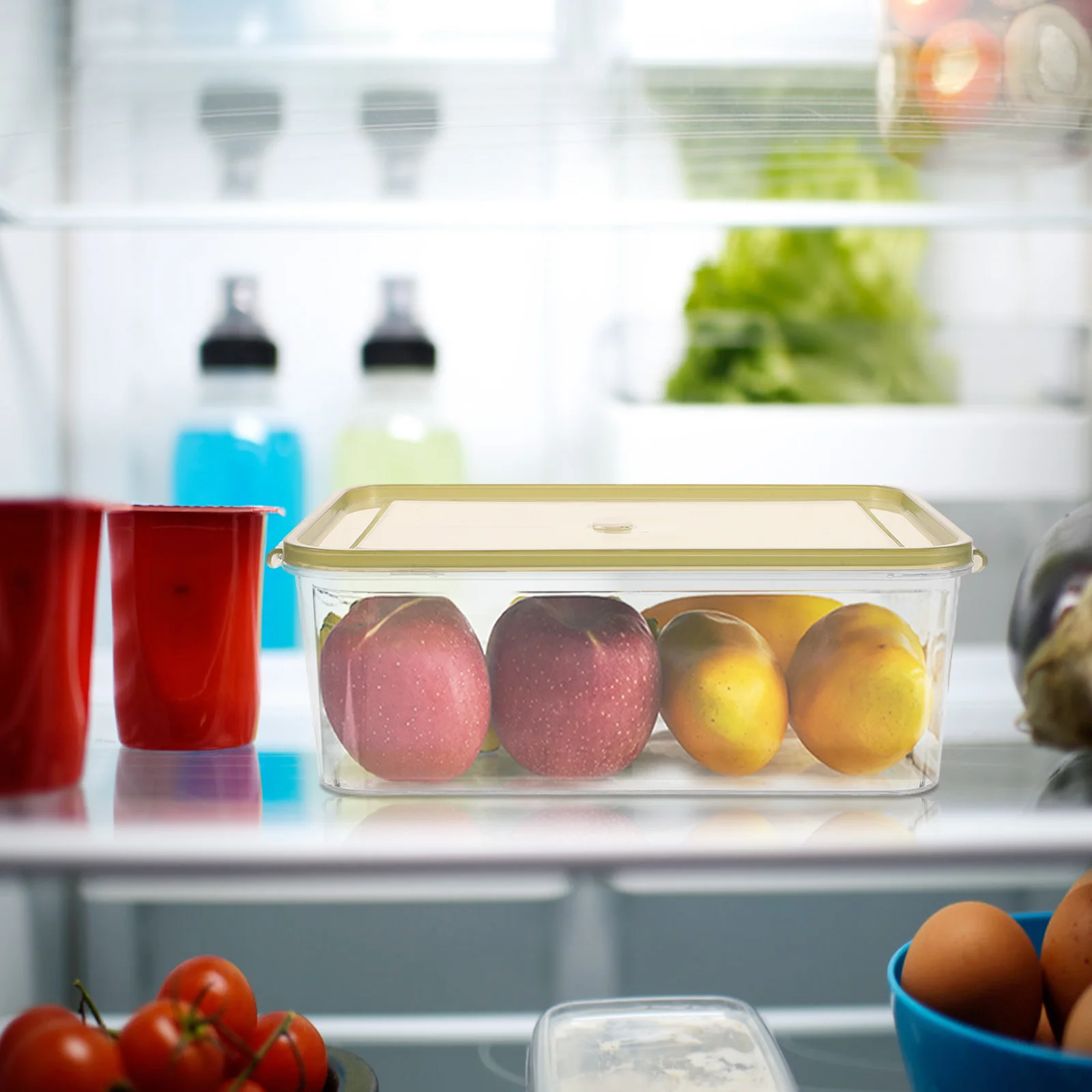 

Airtight Food Storage Containers Large Capacity Fridge Organizer with Lid Premium Plastic Containers for Adults Odor Resistant