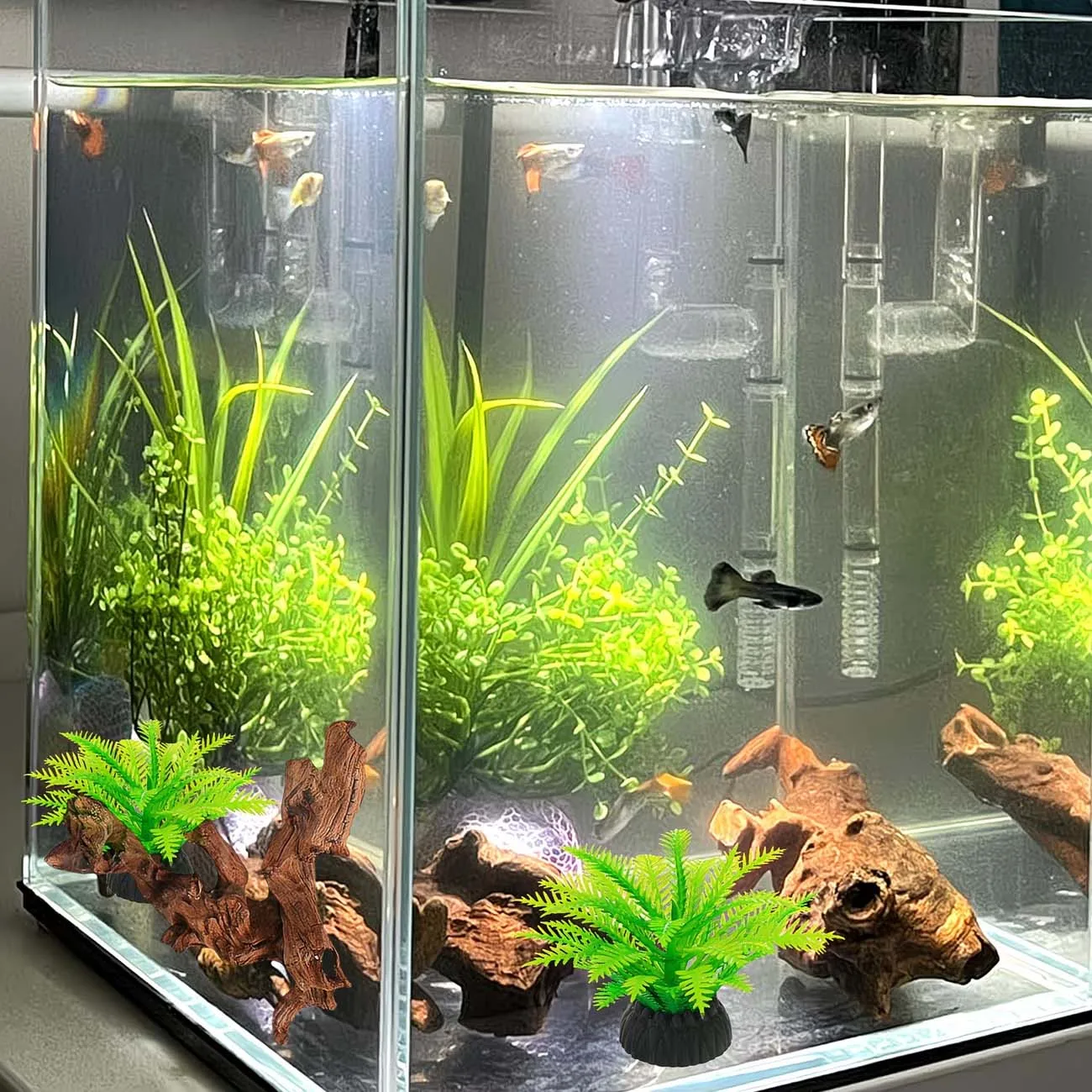 5-10CM Natürliches Sinkbares Treibholz Aquarium-Landschaftsdekoration Fischbecken-Ornament Reptilien-Kletterholz für Wassertiere – Detail 5
